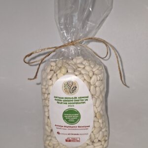 Kuru Fasulye